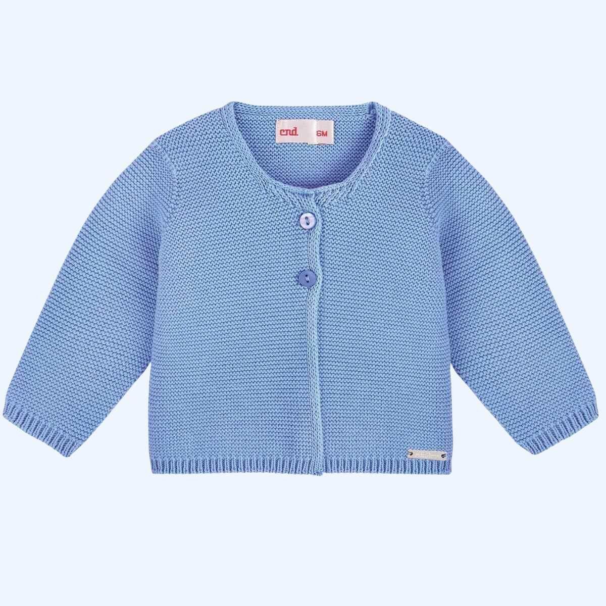 Rebeca Cóndor azulado