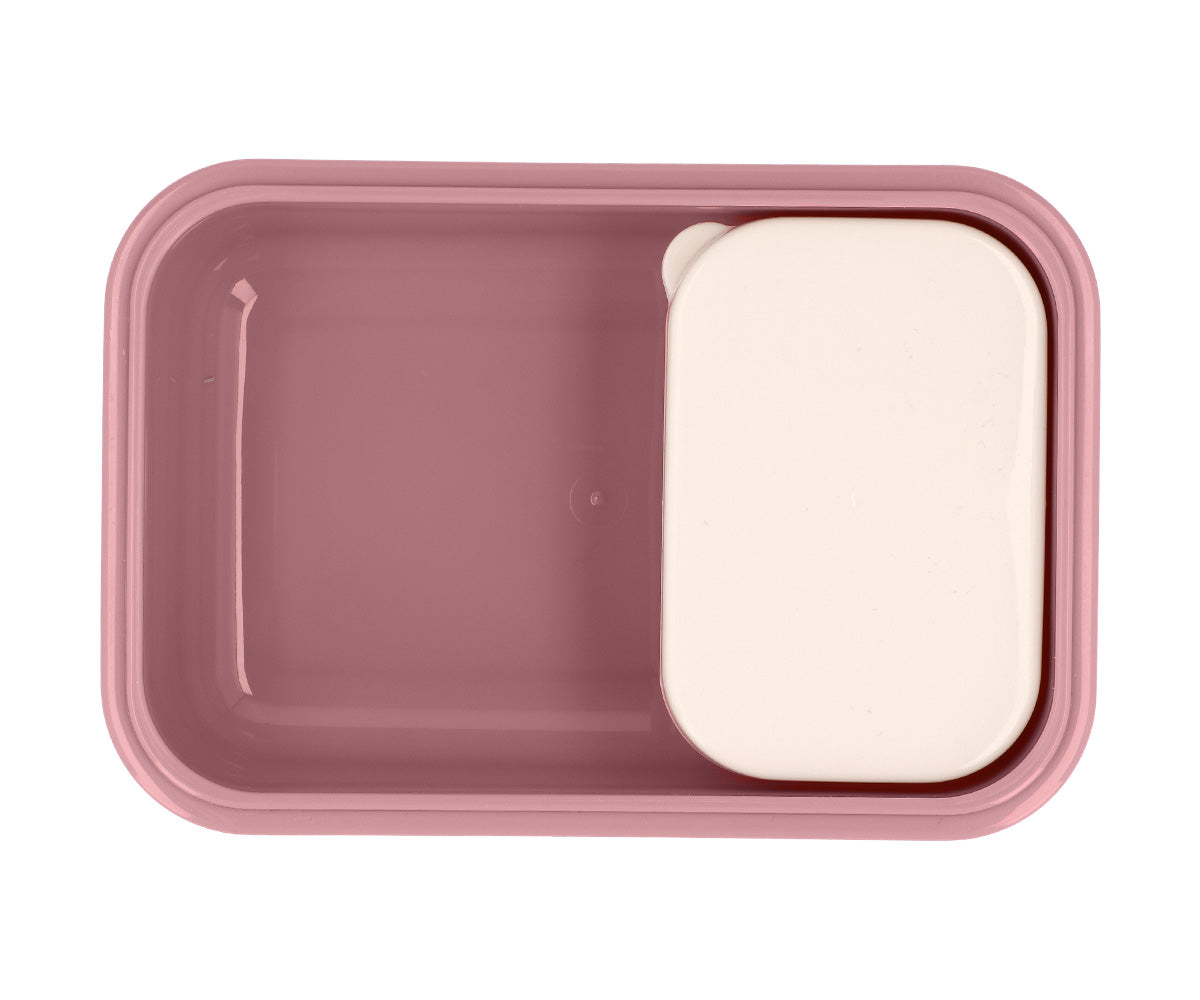 Bento caja almuerzo blossom birds