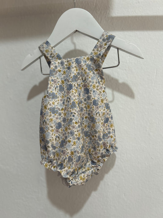 Ranita Amalia celestes