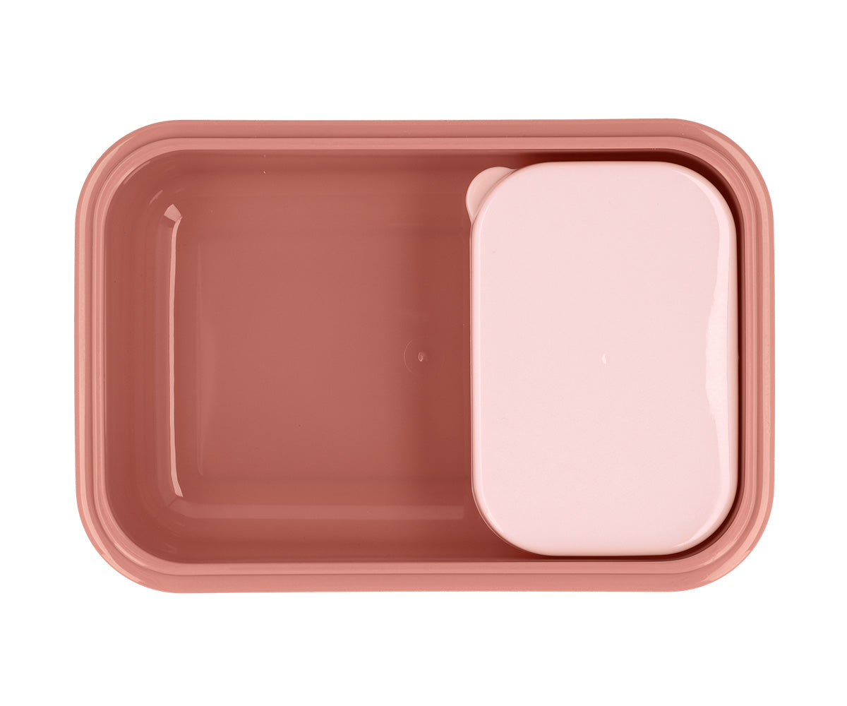 Bento caja de almuerzo Mouse Fairies